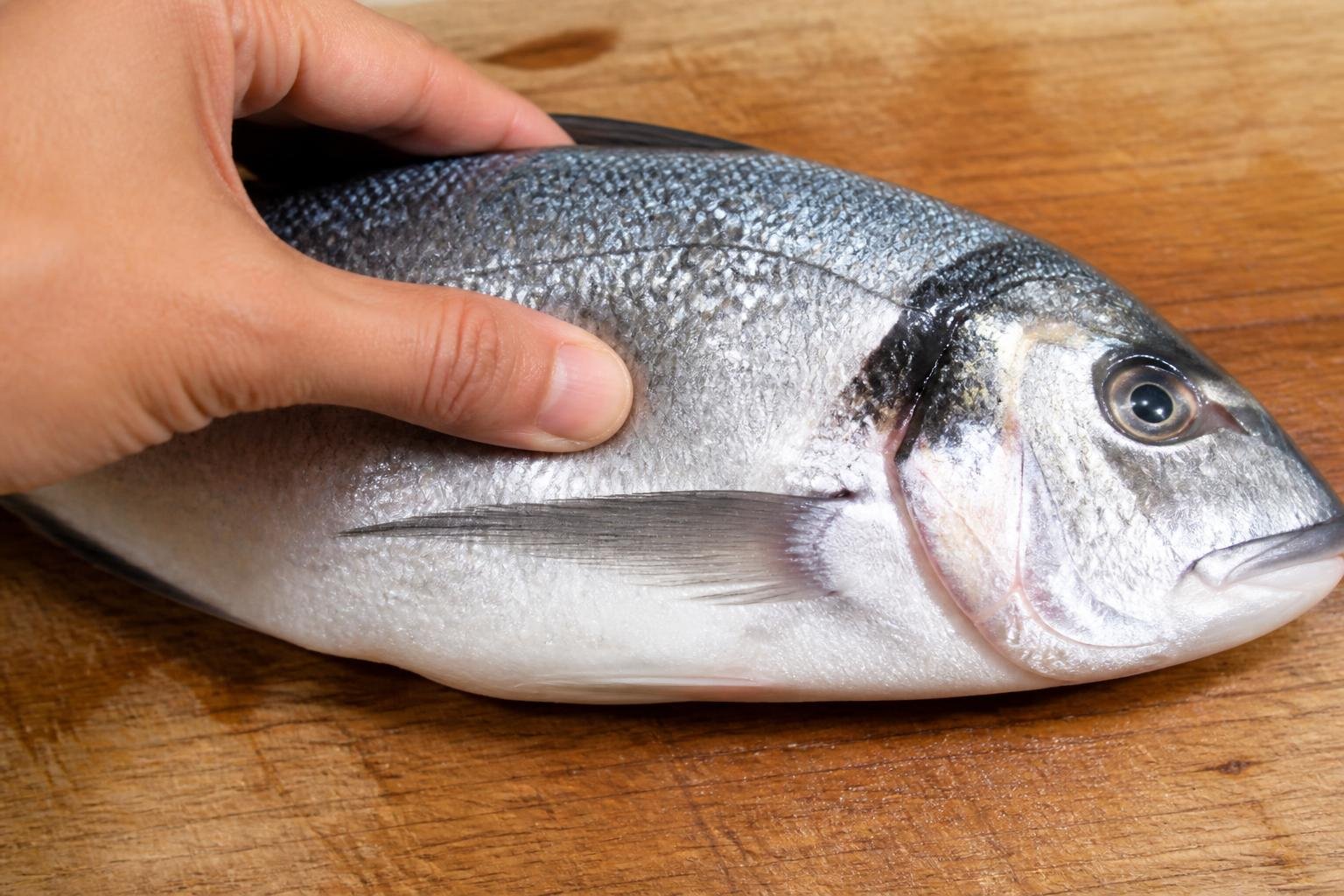 Main testant la fermeté de la chair d'un poisson frais sur une planche de bois