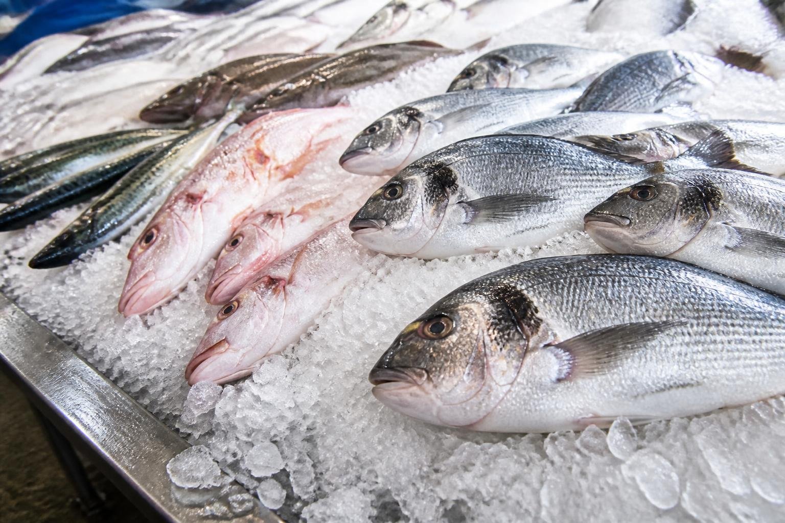 Poissons frais sur lit de glaçons à la criée